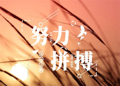 【逐梦科研象牙塔】中国科学院大学教育管理硕士：通往学术巅峰的黄金跳板